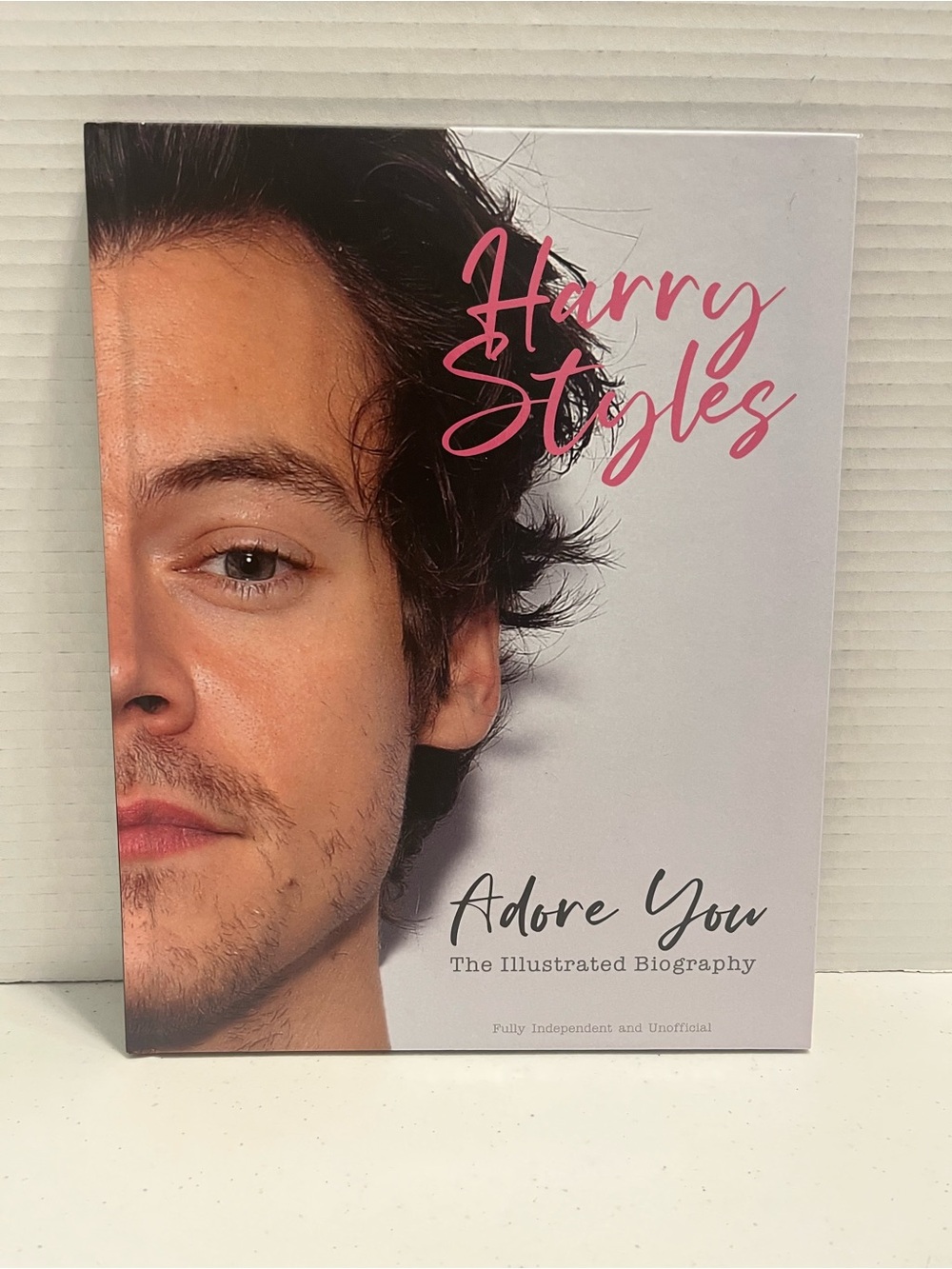 Harry Styles Adore You Illustrated Biography